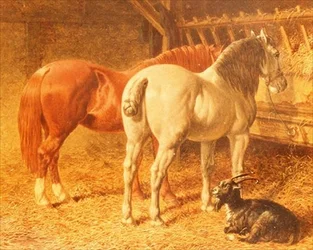 Hester og en geit i en stall