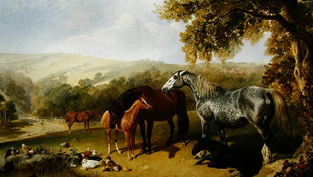 Hopper og føll i et landskap (olje på lerret)