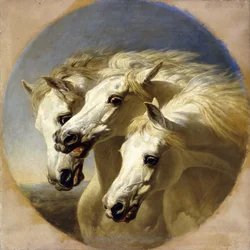 Faraos hester, 1848