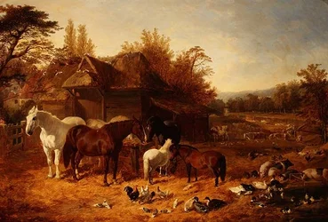 Gårdsgården med hester, ponnier, Berkshire-salrygger, Alderney Shorthorn-kveg og fjærkre
