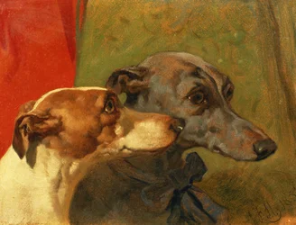 Greyhounds 'Charley' og 'Jimmy' i et interiør