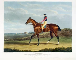 'Theodore', vinneren av den store St. Leger i Doncaster, 1822, gravert av Thomas Sutherland (f.v.t. 1785), pub. av W. Sheardown und Son (akvatint)