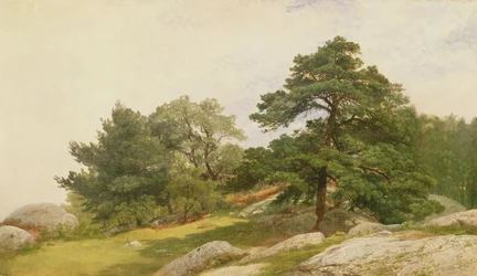 Studie for Trees on Beverly Coast