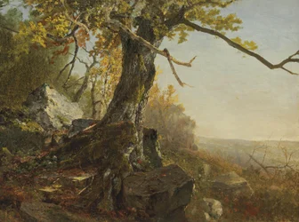 Tre i et landskap