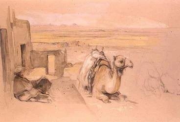 Kamel, Vest-Theben
