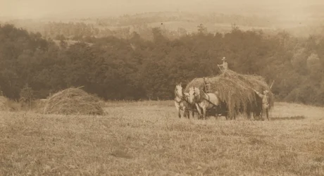 Lasting av høy, 1890–1900 (foto)