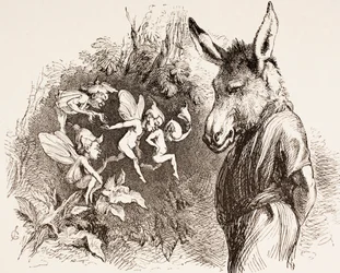 Illustrasjon for A Midsummer Night