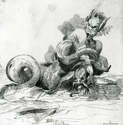 Illustrasjon av et sjømonster, 1700-tallet