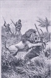 The end of Livingstone, Newnes Pictorial Knowledge utgitt av Newnes, ca. 1950-tallet (litho)