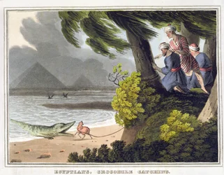 Egyptians Crocodile Catching, gravert av Matthew Dubourg (fl.1785-1820), utgitt av Edward Orme