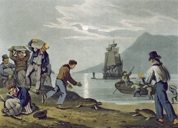 Turtle Catching on Land, gravert av Matthew Dubourg (fl.1785-1820), utgitt av Edward Orme, 1813