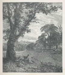 Plate 3. Hjort rundt et tre. Naturbilder. En serie på tretti originale illustrasjoner tegnet på tre av JH Dell, og gravert av R. Paterson. John Henry Dell