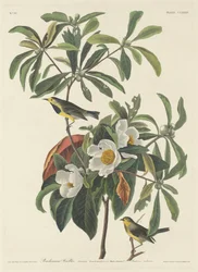 Bachmans sånger