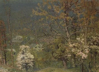 Åsside i blomst