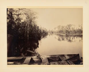 Silver Springs, Florida, sett oppstrøms