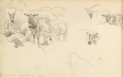 Esler, 1824