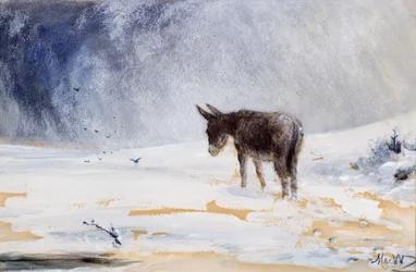 Esel i snø