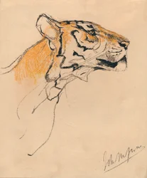 Leder for en tiger, c1910