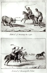 Metoder for å kaste Lasso og Bolas, fra "Reiser i Chile og La Plata" av John Miers, 1826 (litho) (bw foto)