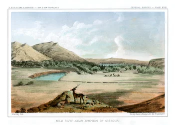 Milk River, nær Junction of Missouri, 1856.
