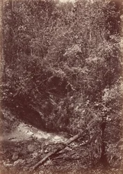 Darien-ekspedisjonen, 1871 (foto)