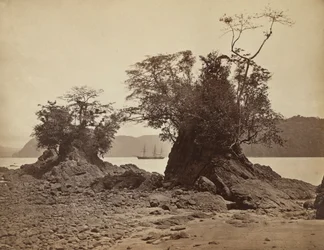 Øyene i Lemon Bay, 1871.