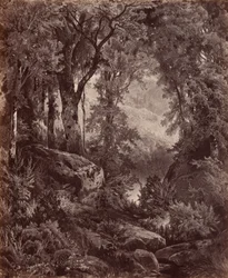Ensomhet, 1865 (foto)