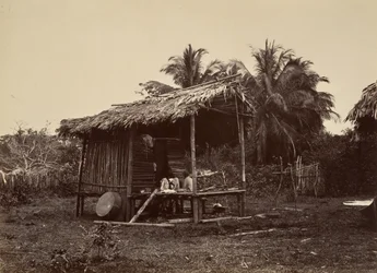 Tropisk natur, Native Hut, Turbo, 1871.