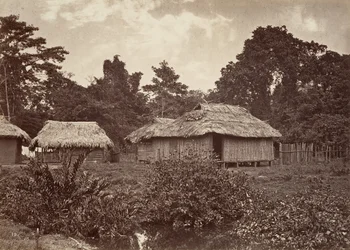 Tropisk natur, Turbo Village, 1871.