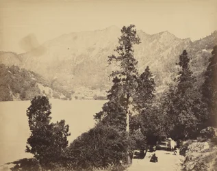 Nynee Tall fra South End, ca. 1858–1862 (foto)