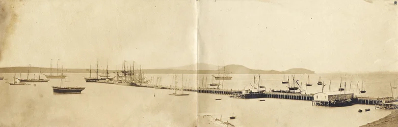 Auckland Harbour, 1865 (albumtrykk)