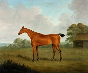 Kastanjehest i et landskap, 1815