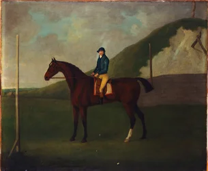"Creeper", A Bay Colt med jockey oppe ved startposten ved The Running Gap In The Devils Ditch, Newmarket