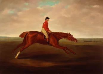 "Eclipse" ridd av J Oakley