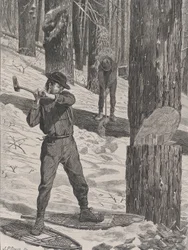 Trelast om vinteren Hver lørdag, vol. II, Ny serie, 28. januar 1871.