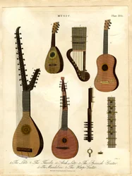 Lutt; Teorben; eller erkelutt; Spansk gitar; Mandolin; Harpegitar