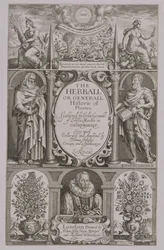 Tittelside til den andre utgaven av The Herball av John Gerard (1564-1612) 1633