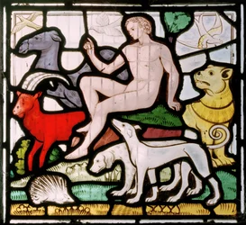 Daylesford, St Peter, Clayton & Bell, John Richard Clayton (1827-1913), Adam blant dyrene, Creation window, ca. 1860