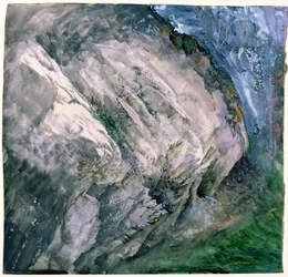 Bergarter og vegetasjon ved Chamouni, 1854