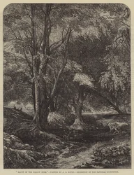 Tilholdssted for dåhjorten