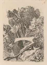 Liber Studiorum: Plate 11: Parsons Bridge, Cardingshire, 1838