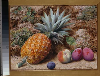 En ananas, en fersken og plommer på en mosegrodd bredd