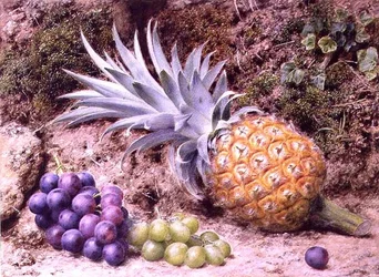 En ananas og drueklaser på en mosegrodd bank