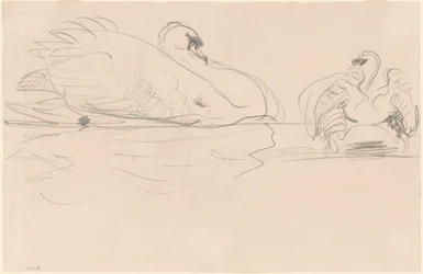 Svaner i vannet, 1880-1900.