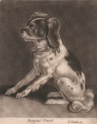 En hund med halsbånd