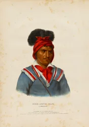 Foke-luste-hajo, en Seminole