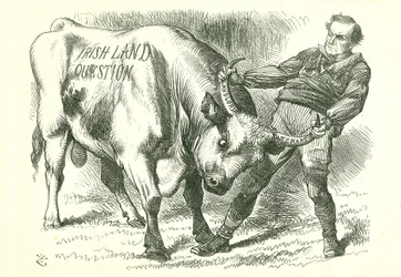 Tar den (irske) oksen ved hornene: Lovforslaget ble vedtatt av parlamentet 15. februar 1870 og fikk kongelig samtykke 8. juli. William Gladstone, statsminister, som behandler problemet. John Tenniel tegneserie fra Punch, London, 26. februar 1870.