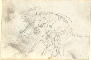 Hester
