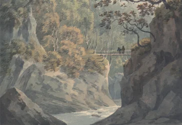 Alpine Bridge og Woodland Scenery nær Pistil y Maw