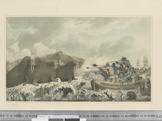 F.32 Sea Horses, ca. 1773-84 (akvarell)